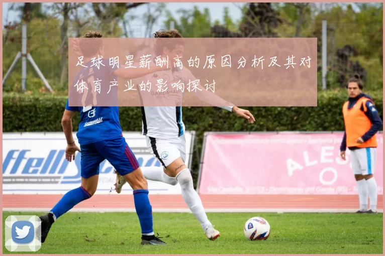 足球明星薪酬高的原因分析及其对体育产业的影响探讨