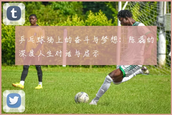 乒乓球场上的奋斗与梦想：陈磊的深度人生对话与启示