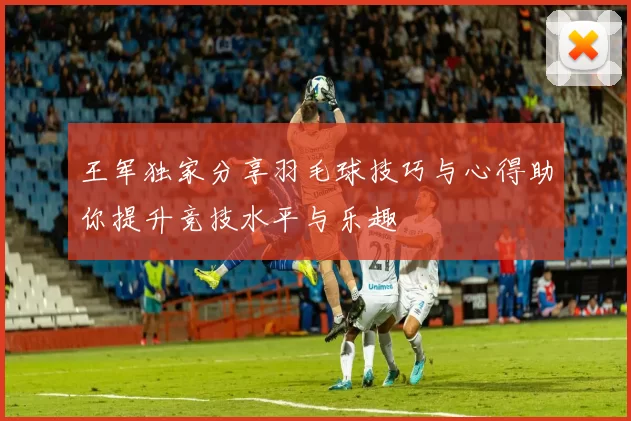 王军独家分享羽毛球技巧与心得助你提升竞技水平与乐趣