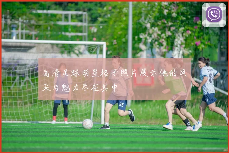 高清足球明星格子照片展示他的风采与魅力尽在其中
