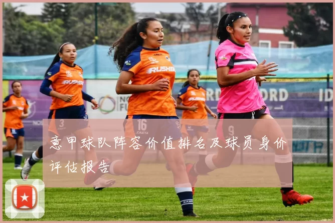 意甲球队阵容价值排名及球员身价评估报告