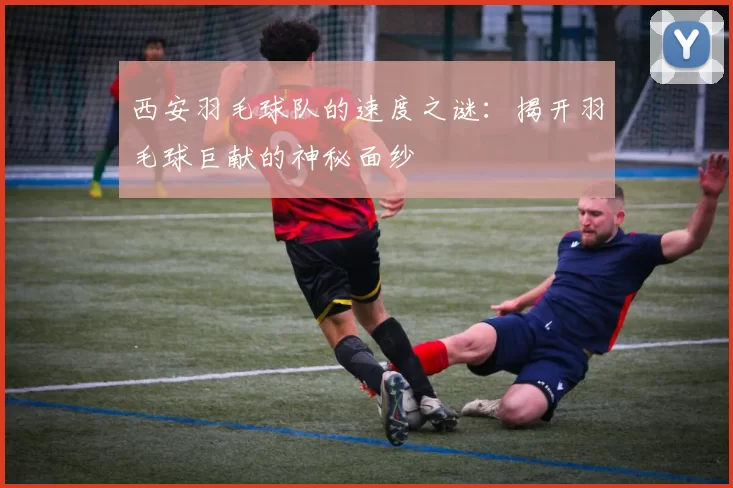 西安羽毛球队的速度之谜：揭开羽毛球巨献的神秘面纱