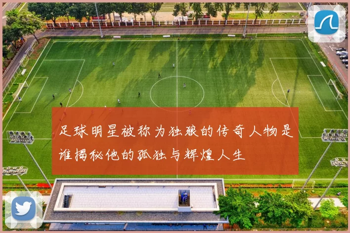 足球明星被称为独狼的传奇人物是谁揭秘他的孤独与辉煌人生