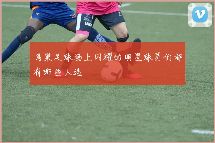 鸟巢足球场上闪耀的明星球员们都有哪些人选