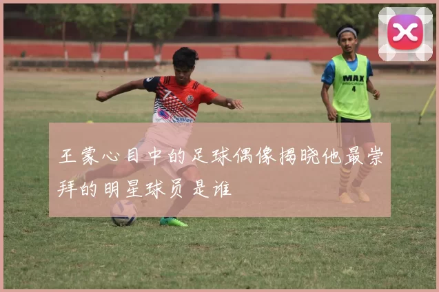 王蒙心目中的足球偶像揭晓他最崇拜的明星球员是谁
