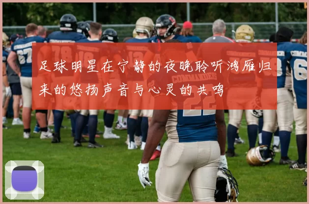 足球明星在宁静的夜晚聆听鸿雁归来的悠扬声音与心灵的共鸣