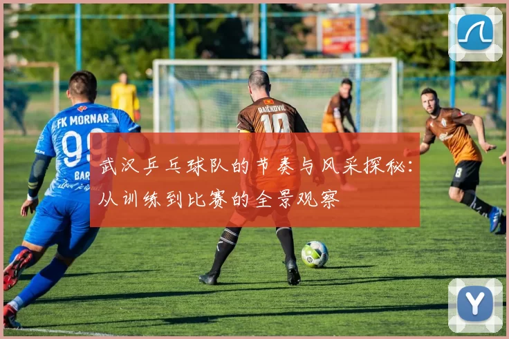 武汉乒乓球队的节奏与风采探秘：从训练到比赛的全景观察