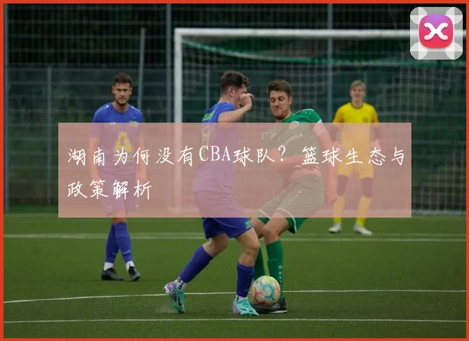 湖南为何没有CBA球队？篮球生态与政策解析