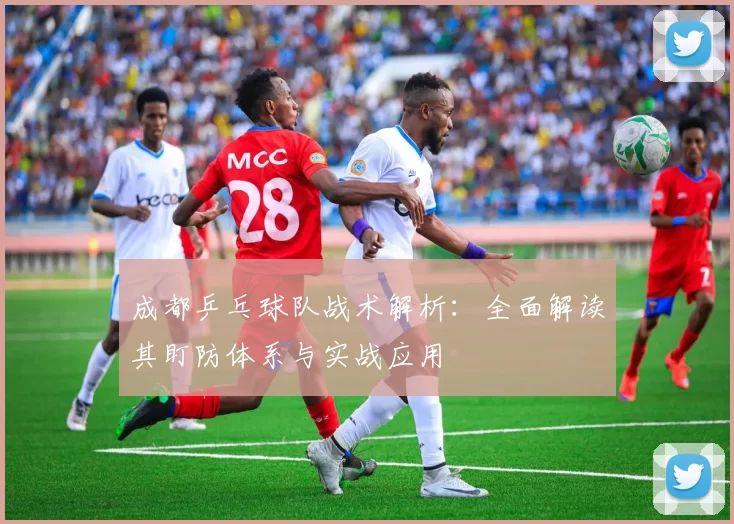 成都乒乓球队战术解析：全面解读其盯防体系与实战应用