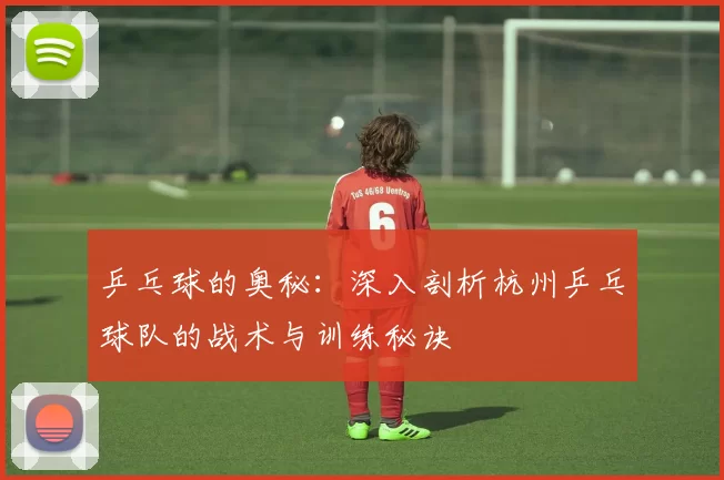 乒乓球的奥秘：深入剖析杭州乒乓球队的战术与训练秘诀