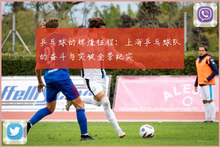 乒乓球的辉煌征程：上海乒乓球队的奋斗与突破全景纪实