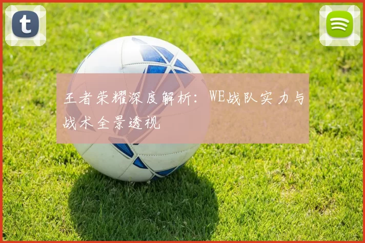 王者荣耀深度解析：WE战队实力与战术全景透视