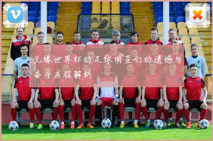 无缘世界杯的足球明星们的遗憾与奋斗历程解析