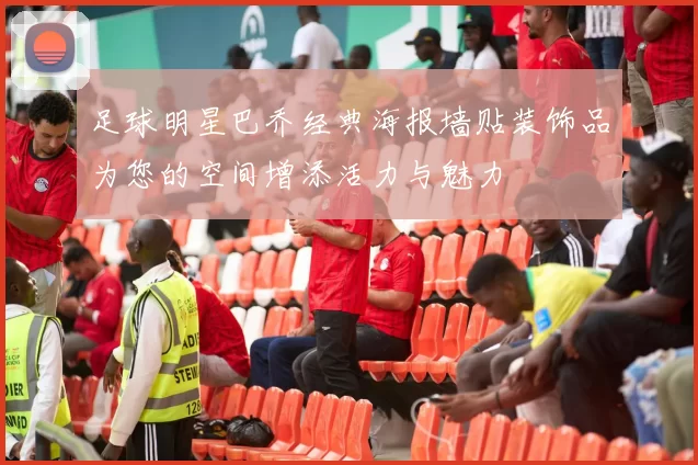 足球明星巴乔经典海报墙贴装饰品为您的空间增添活力与魅力