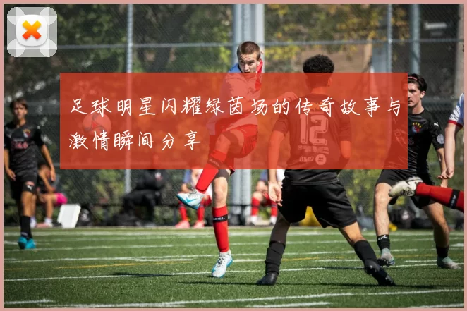 足球明星闪耀绿茵场的传奇故事与激情瞬间分享